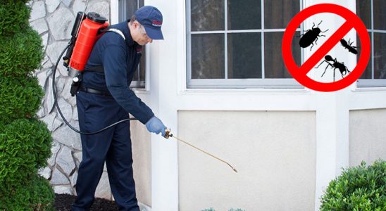 Balıklıova Gümüşkurt İlaçlama böcek ilaçlama ve haşere kontrolü — ilaclama-tr.com